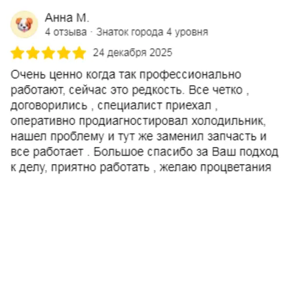 Отзыв о мастерской «ПермРемХолод» в Яндекс от 2025-12-24